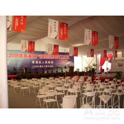 大跨度礼仪庆典篷房 铝合金材质打造安全大气的庆典空间