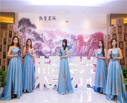 礼仪庆典策划 安徽圣悦 在线咨询 合肥庆典策划